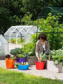 3-Season Plant Protection Tent, 3' X 6' 21 3-Season Plant Protection Tent, 3' X 6' -Flowers Plants Shop 35 592 0181 1