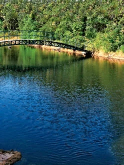 Aquasphere Pond Cleaners -Flowers Plants Shop 37425 001ed 1