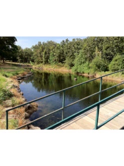 Blast, 125,000 Gallon, 12 Packets -Flowers Plants Shop 37425 002v 1