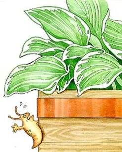 Copper Slug Tape -Flowers Plants Shop 38 994 b