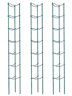 Tomato Ladders, Set Of 3 -Flowers Plants Shop 38184 002E psd