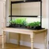 Tabletop Sunlite® Garden -Flowers Plants Shop 38319 002 table top grow lights tif