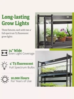 3-Tier Sunlite® Garden 14 3-Tier Sunlite® Garden -Flowers Plants Shop 39 357 66