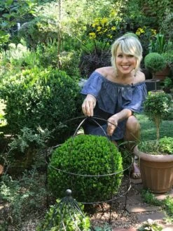 Jardin Bird Cage Support, 26" 11 Jardin Bird Cage Support, 26" -Flowers Plants Shop 39 520 02IN tif