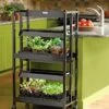 Compact 2-Tier SunLite® Garden 1 Compact 2-Tier SunLite® Garden -Flowers Plants Shop 39414 005 grow lights with two shelves small tif