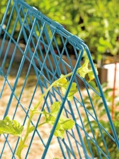 Deluxe Cucumber Trellis -Flowers Plants Shop 39806 BLUE 100 tif