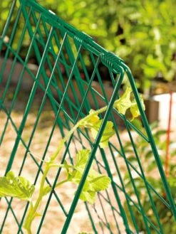 Deluxe Cucumber Trellis -Flowers Plants Shop 39806 GR edit tif