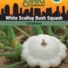 Squash, White Scallop Bush Summer Organic Seeds -Flowers Plants Shop 3 4 crop 84589 8613564 Squash White Scallop Bush