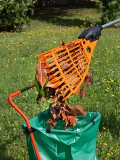 Magic Fly® Leaf Rake -Flowers Plants Shop 3 4 crop 8611047 05V tif