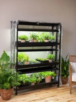 Sunlite 3-Tier Humidity Cover 14 Sunlite 3-Tier Humidity Cover -Flowers Plants Shop 3 4 crop 8612939 0218