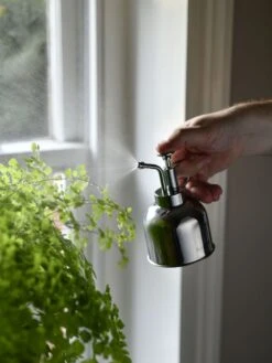 Indoor Plant Mister -Flowers Plants Shop 3 4 crop 8612962 02V tif