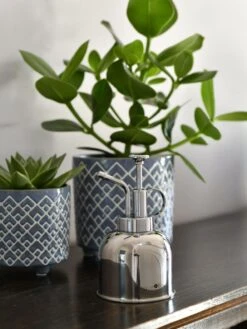 Indoor Plant Mister -Flowers Plants Shop 3 4 crop 8612962 03V tif