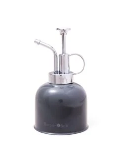 Indoor Plant Mister -Flowers Plants Shop 3 4 crop 8612962 3478