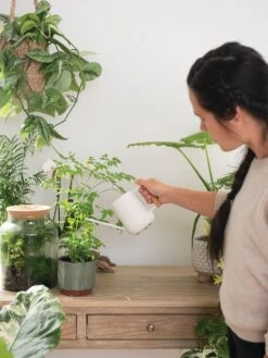 Pinpoint Indoor Watering Can -Flowers Plants Shop 3 4 crop 8612963 3774