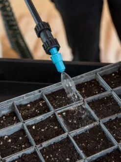 Sprayer Tank With Coil Hose Wand -Flowers Plants Shop 3 4 crop 8612969 0154