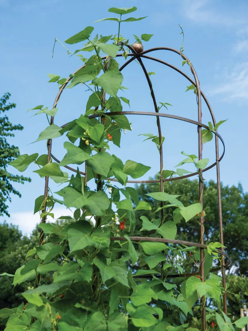 Jardin Tower 3 Jardin Tower