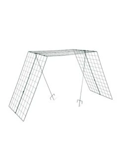 Over The Top Cucumber And Squash Trellis 13 Over The Top Cucumber And Squash Trellis -Flowers Plants Shop 3 4 crop 8613058 4890