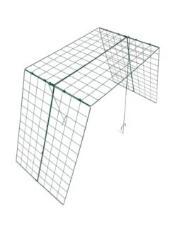 Over The Top Cucumber And Squash Trellis 12 Over The Top Cucumber And Squash Trellis -Flowers Plants Shop 3 4 crop 8613058 4899