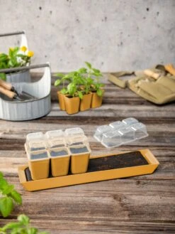 Gardener's Best® Humidity Dome, Set Of 2 8 Gardener's Best® Humidity Dome, Set Of 2 -Flowers Plants Shop 3 4 crop 8613067 10063