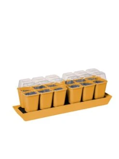 Gardener's Best® Humidity Dome, Set Of 2 9 Gardener's Best® Humidity Dome, Set Of 2 -Flowers Plants Shop 3 4 crop 8613067 5879 tif