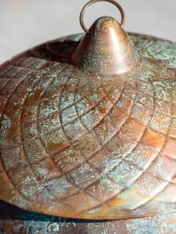 Acorn Hose Pot -Flowers Plants Shop 3 4 crop 8613361 0045