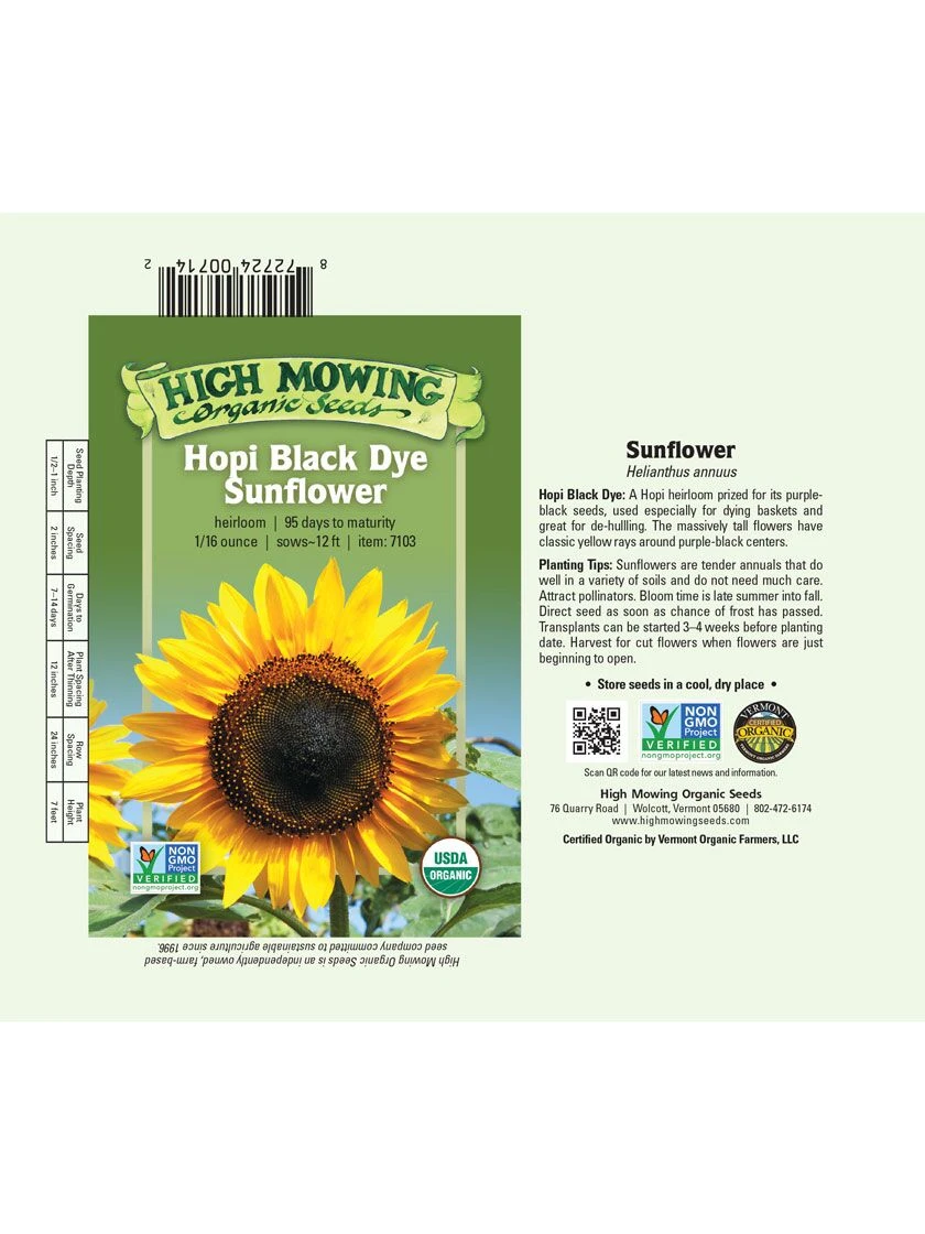 Hopi Black Dye Sunflower Organic Seeds 4 Hopi Black Dye Sunflower Organic Seeds - Image 2