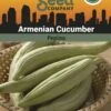 Armenian Cucumber Organic Seeds -Flowers Plants Shop 3 4 crop 8613866 81608 Cucumber Armenian SDSC