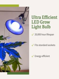Miracle LED® Grow Light Bulb, Blue -Flowers Plants Shop 3 4 crop Miracle Bulb Blue 1