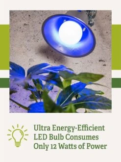 Miracle LED® Grow Light Bulb, Blue -Flowers Plants Shop 3 4 crop Miracle Bulb Blue 2