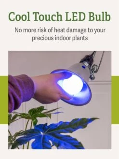 Miracle LED® Grow Light Bulb, Blue -Flowers Plants Shop 3 4 crop Miracle Bulb Blue 4