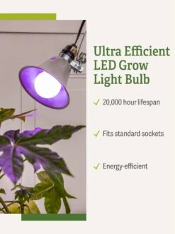 Miracle LED® Grow Light Bulb, Red And Blue -Flowers Plants Shop 3 4 crop Miracle Bulb RB 1