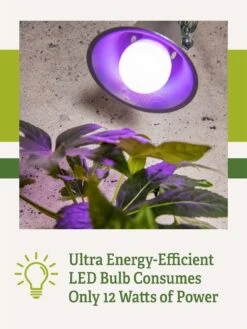 Miracle LED® Grow Light Bulb, Red And Blue -Flowers Plants Shop 3 4 crop Miracle Bulb RB 2