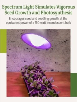 Miracle LED® Grow Light Bulb, Red And Blue -Flowers Plants Shop 3 4 crop Miracle Bulb RB 3