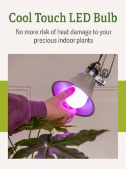 Miracle LED® Grow Light Bulb, Red And Blue -Flowers Plants Shop 3 4 crop Miracle Bulb RB 4