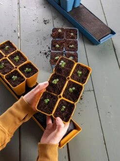 Gardener's Best® XL Seed Starting Kit 21 Gardener's Best® XL Seed Starting Kit -Flowers Plants Shop 40 135 6186