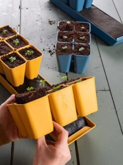 Gardener's Best® XL Seed Starting Kit 22 Gardener's Best® XL Seed Starting Kit -Flowers Plants Shop 40 135 6192 1