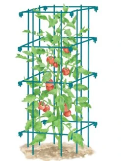 Tomato Cage, Single -Flowers Plants Shop 8587039 TomatoCage BLUE tif