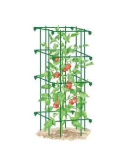 Tomato Cage, Single -Flowers Plants Shop 8587039 TomatoCage GRN tif