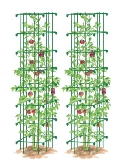 Tomato Towers, Set Of 2 -Flowers Plants Shop 8587041 0006 GRN tif