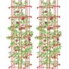 Tomato Towers, Set Of 2 -Flowers Plants Shop 8587041 TomatoTower tif