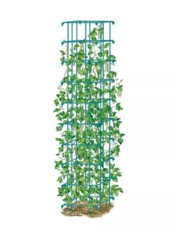 Bean Tower -Flowers Plants Shop 8587060 BeanTower BLUE