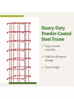 Bean Tower -Flowers Plants Shop 8587060 productdetails