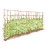 Expandable Pea Trellis -Flowers Plants Shop 8587061 PeaFence Red 001E tif