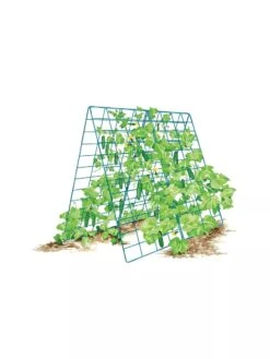 Deluxe Cucumber Trellis -Flowers Plants Shop 8587083 001 BLUE Cukes two sided deluxe cucumber trellis support storm blue 3 4
