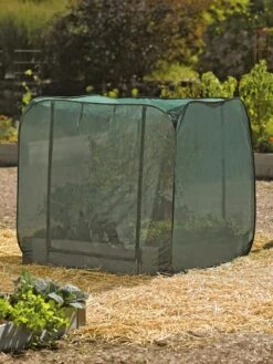 Pest Control Pop-Ups -Flowers Plants Shop 8587859 026 tif