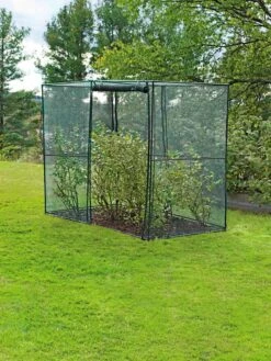Crop Cage, 4' X 8' -Flowers Plants Shop 8589160 002 tif