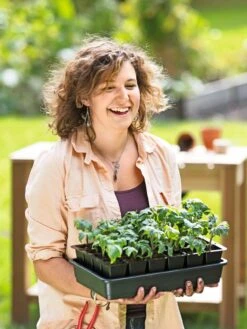 Growease Seed Starter Kit -Flowers Plants Shop 8589987 0446 tif