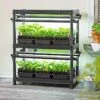 Stack-n-Grow Lights - 2-Tier System 1 Stack-n-Grow Lights - 2-Tier System -Flowers Plants Shop 8590139 001E Stack N Grow 2 Tier Light System tif