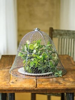 Chicken Wire Cloche -Flowers Plants Shop 8590210 1 tif