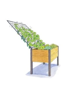 Space-Maker Pivoting Trellis, 4' -Flowers Plants Shop 8590247 SMTrellis 4ft tif